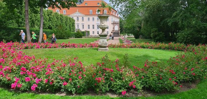 Restaurant Vitzthum Schloss Lichtenwalde